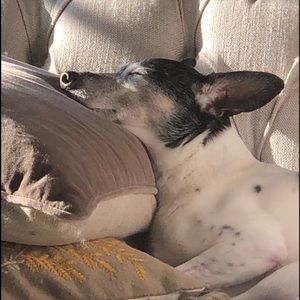 Meet your Posher, Erin